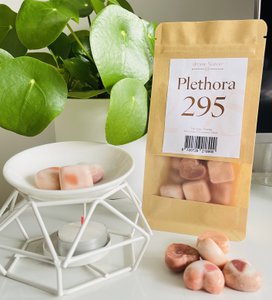 Wax melts Plethora 295 | Orange, Cinnamon & Clove