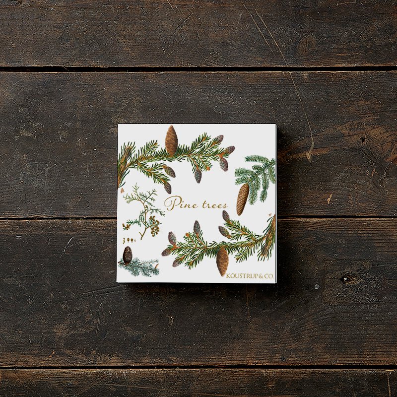 Pine trees - Square cardfolder w/ 8 cards and envelopes