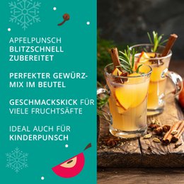 ETS - Apfel Punsch Gewürz "Winter Apple", BIO, 7 Pyramiden-Beutel