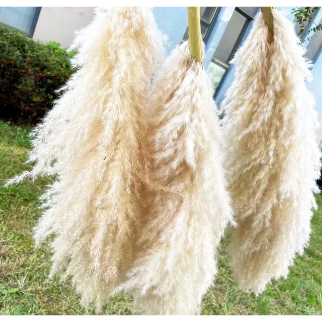 Crema esponjosa de pampas