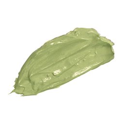 Maschera disintossicante al tè verde Teami (185 ml)