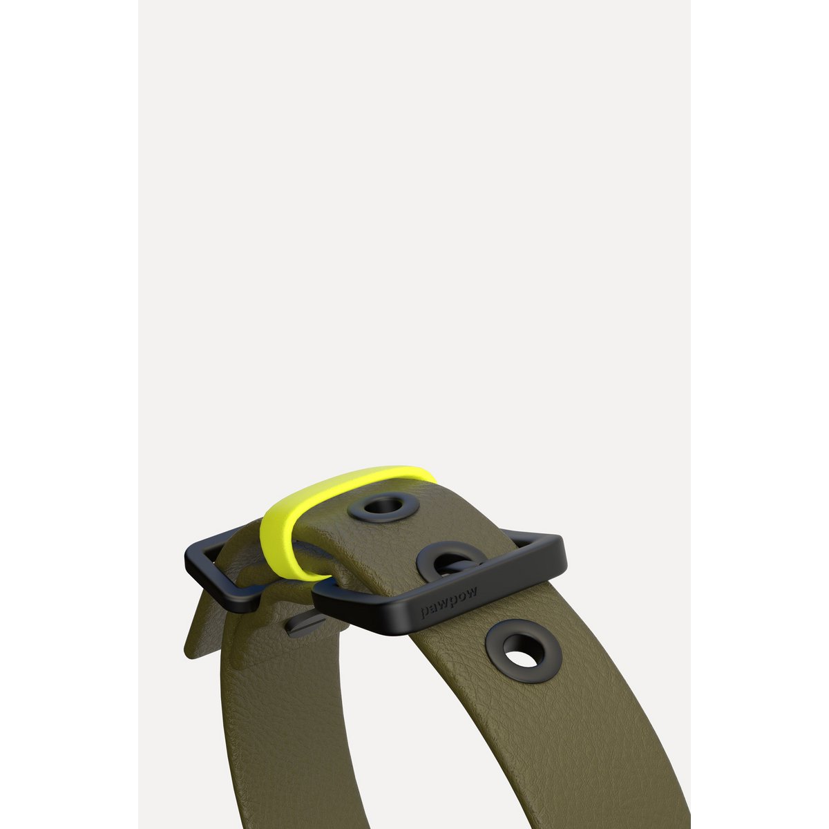 Dog collar C01