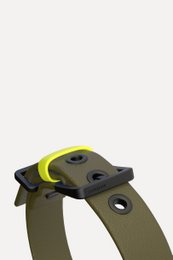 Dog collar C01