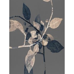 Forgrenings III notecard