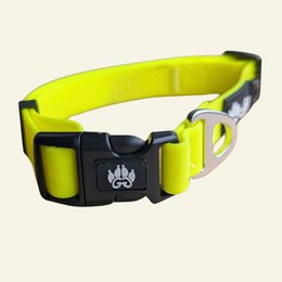 Waterproof collar Neon yellow