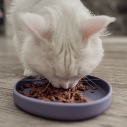 ne&no® Silikon Futterschale - Schnurrhaarfreundlich - extra flach - für Katzen