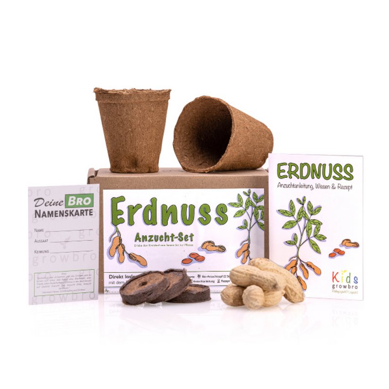 growbro kids set per la coltivazione di arachidi, set per la scoperta del giardino, bambini ricercatori, regalo per bambini, regalo di compleanno per bambini, esperimento da portare con sé