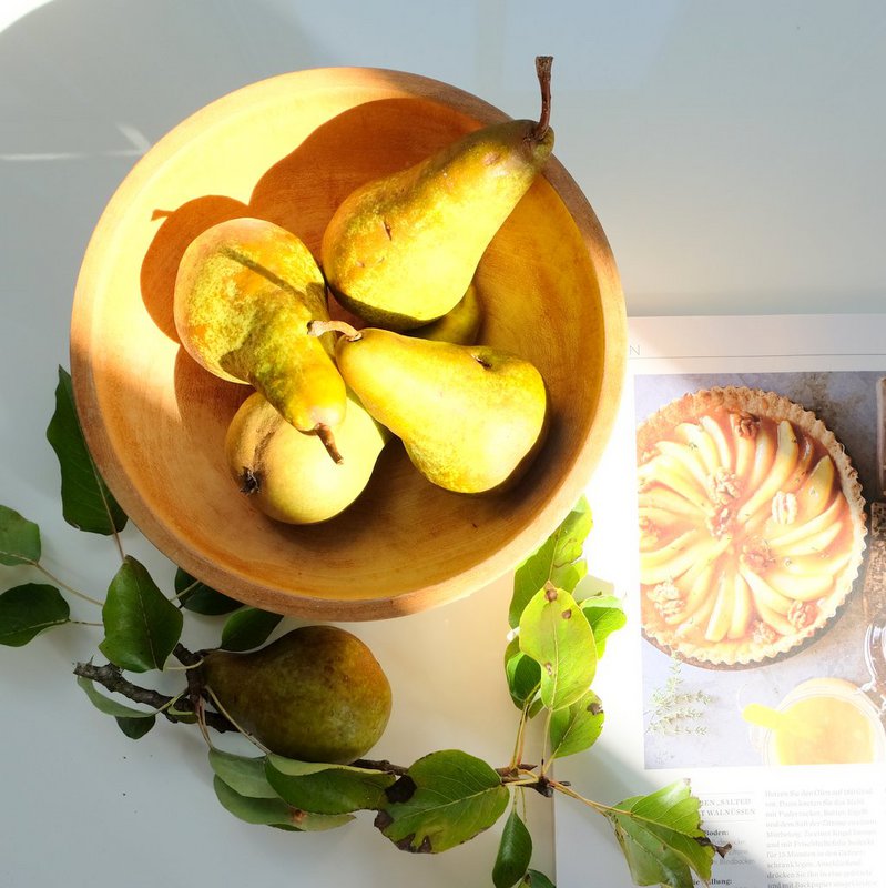 Holzschale - Obstschale - Salatschale - Modell  Carved - natur -  verschiedene Größen