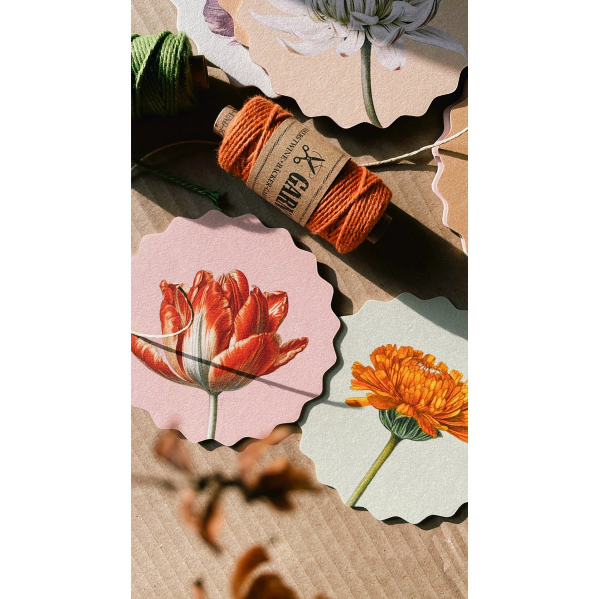 Sous-verres 10 motifs fleurs - 12 sets