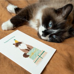 Carte d'anniversaire | Joyeux anniversaire | Chat