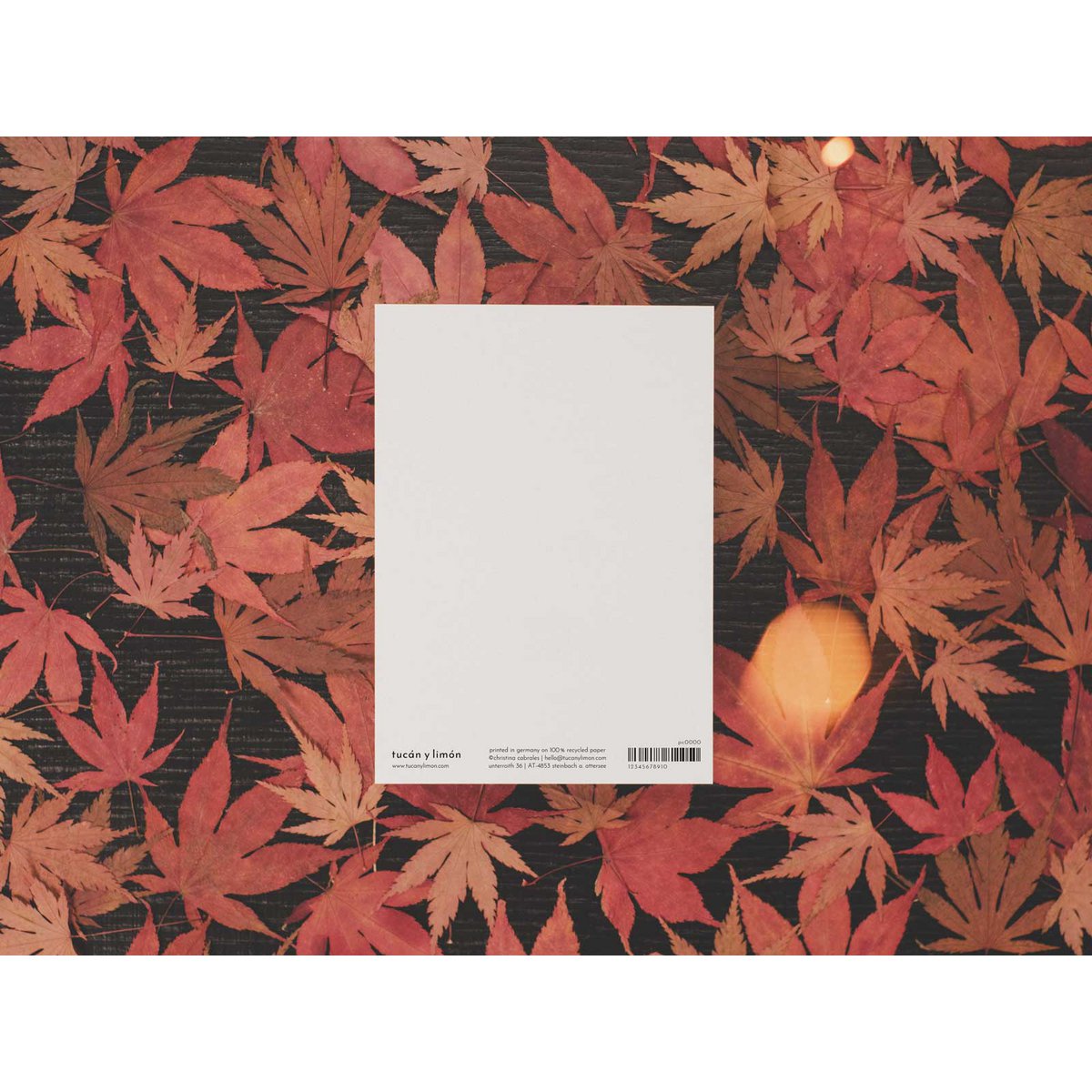 Hallo herfst | ansichtkaart