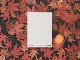 Hallo herfst | ansichtkaart