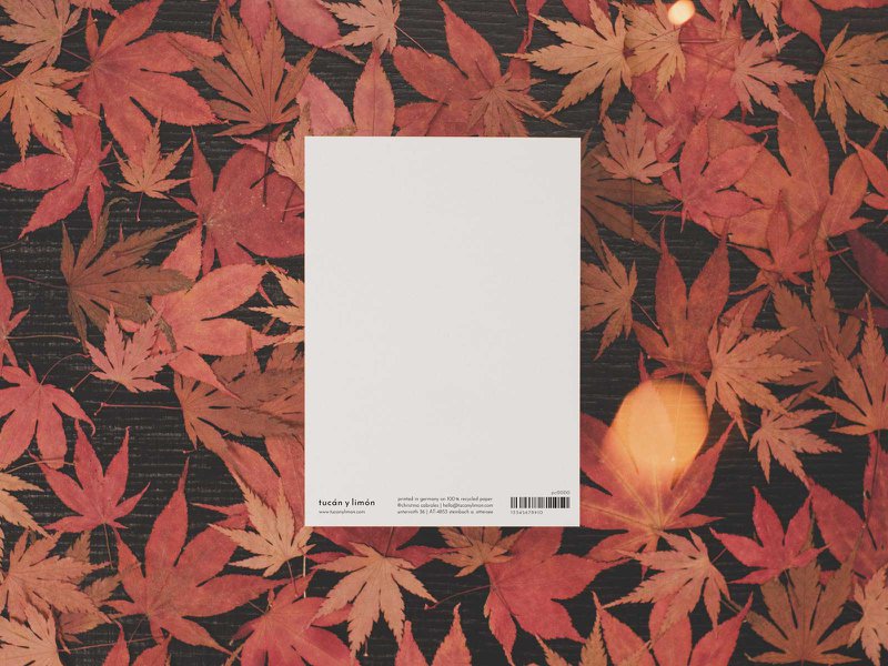 Hallo herfst | ansichtkaart