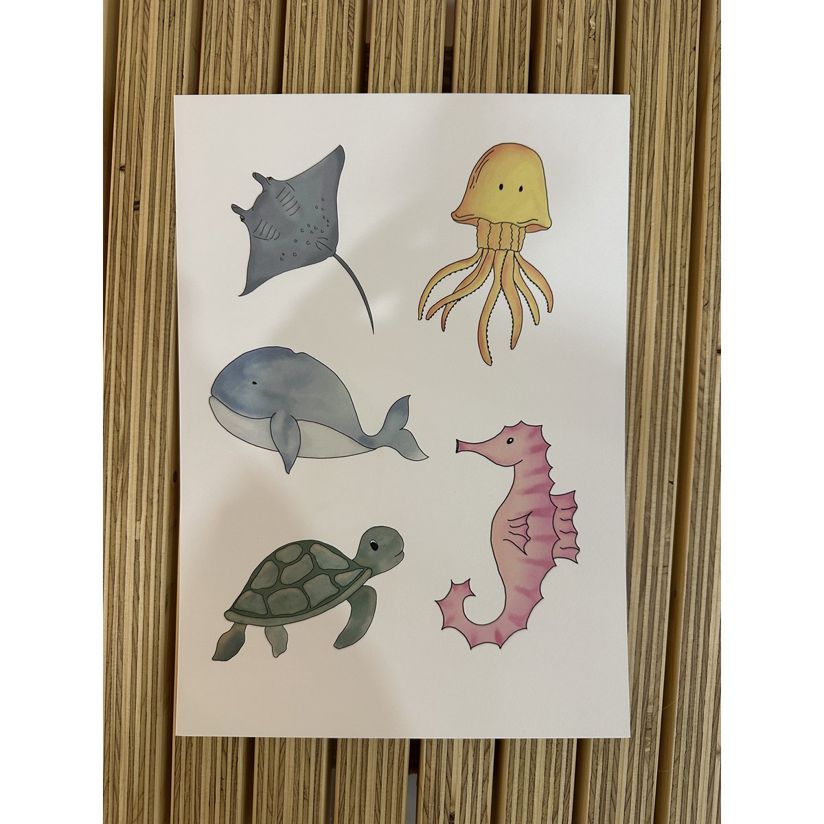 Manifesto degli animali marini