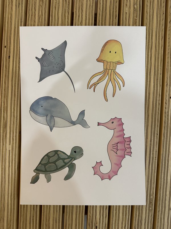 Sea animals poster