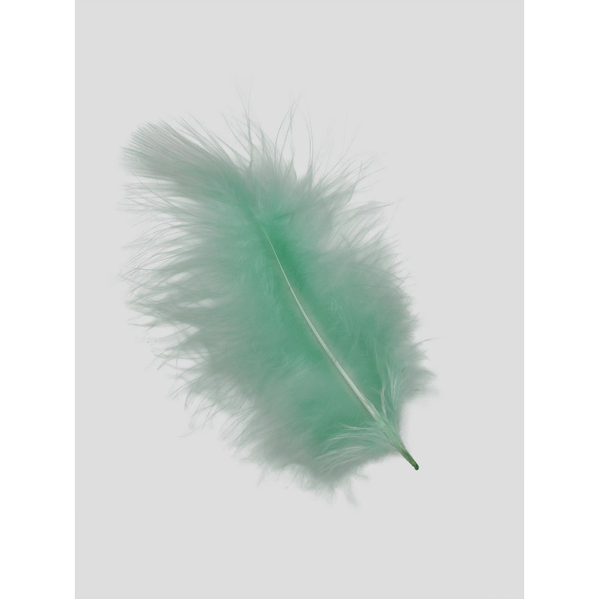Marabut 12-15cm pistacja