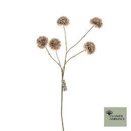 Flower Ambiance