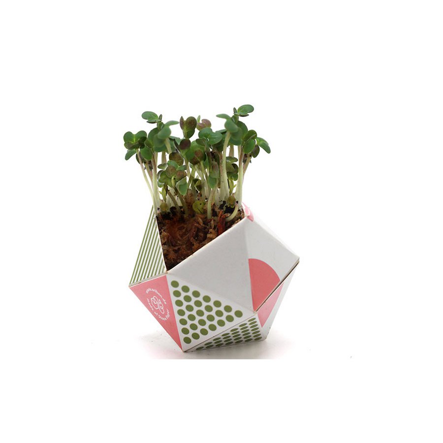 1 OriBon+ - Modern collection