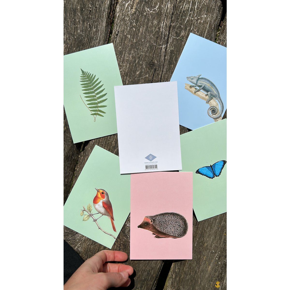 Postkarte Kiss