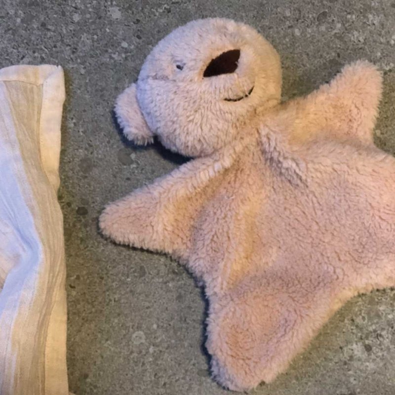 Brody bear Cuddle cloth