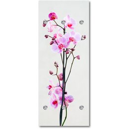 Armoire - Urte