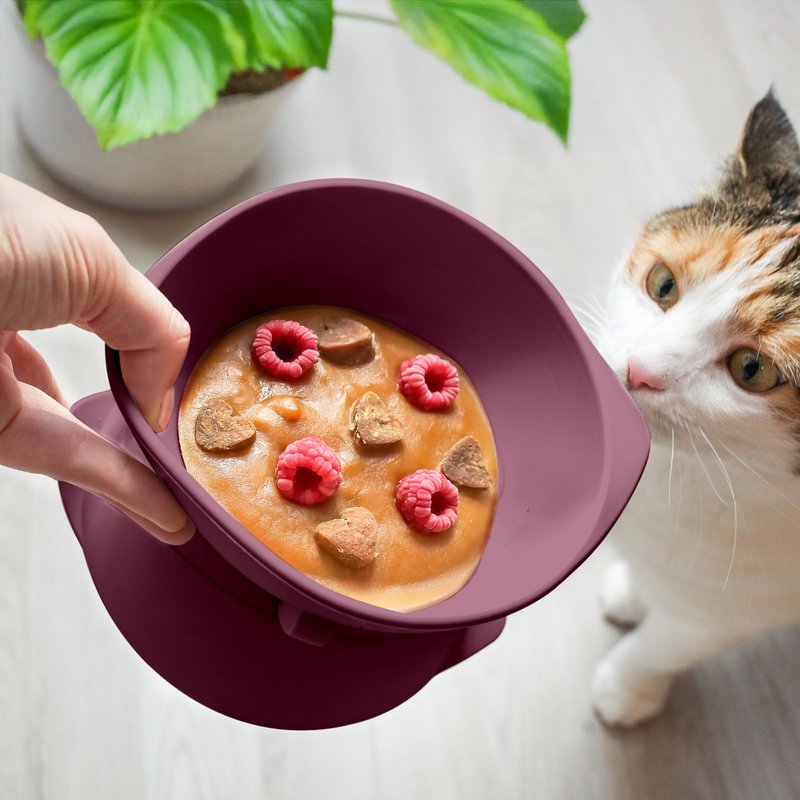 ne&no® Erhöhter Silikon Katzennapf + mit verstellbarer Neigung