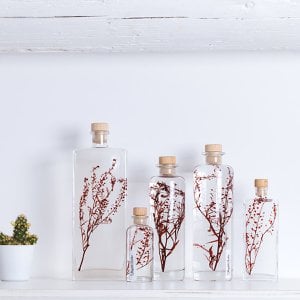 The Herbarium - submerged plant Lepidium red