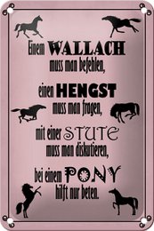 Tin sign saying 12x18cm horses wallah stallion pony mare decoration