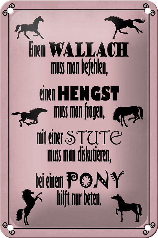 Tin sign saying 12x18cm horses wallah stallion pony mare decoration