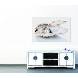 Acrylglasbild - Shell with Pearl