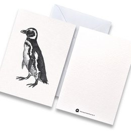 Karte Pinguin schwarz-weiß mit Umschlag