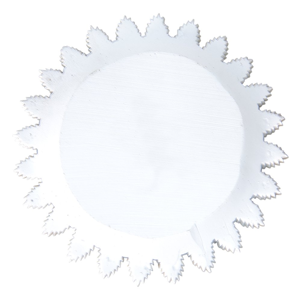 Decoratie schaal Ø 20x1 cm Wit Goudkleurig Polyresin Takken