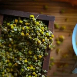 TOFILLO Chamomile Tea