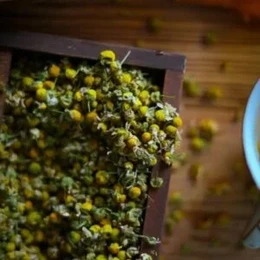 TOFILLO Chamomile Tea