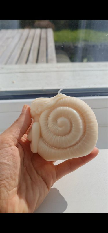 Świeca Shell Girl