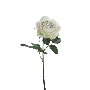 Rosensamt, 1 Blüte, L38cm, Creme