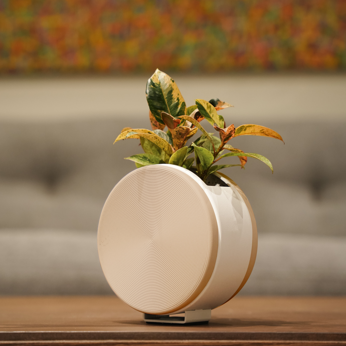 Round Pot med Self -Withlide System