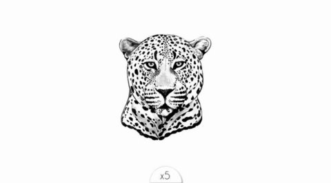 Temporary tattoo: Leopard