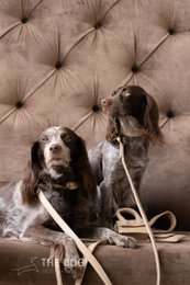 Hundesnor med messing finish - Klassisk - Sand / Taupe