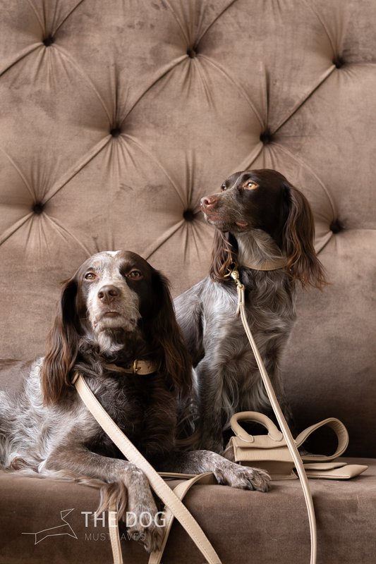Hundesnor med messing finish - Klassisk - Sand / Taupe