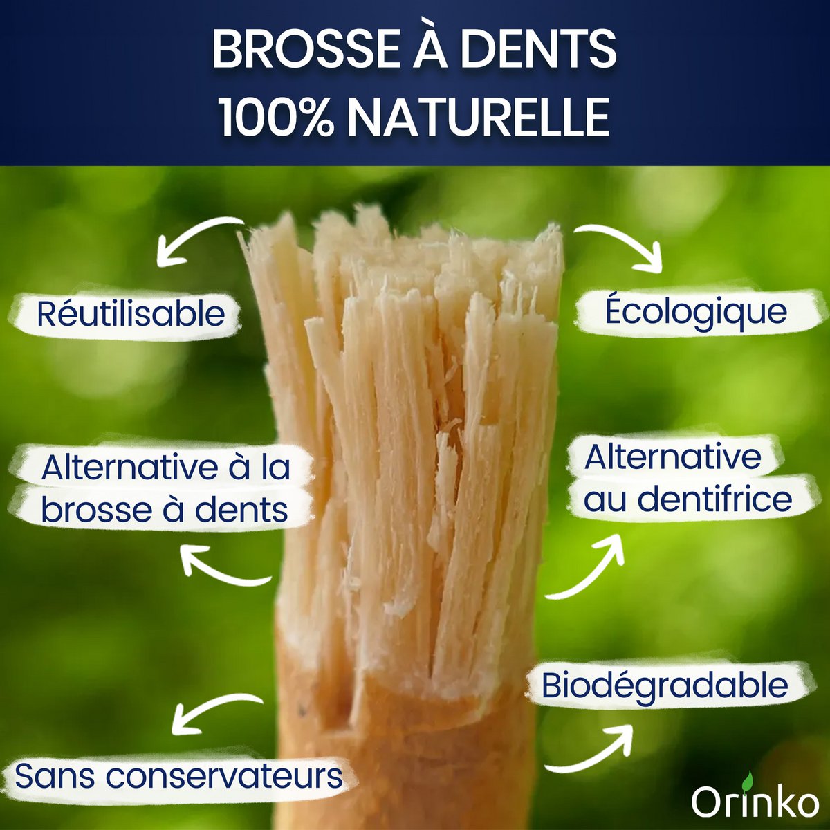 Bulk Siwak sticks - 100% natural toothbrush - cleanser, disinfectant and whitening - ecological, biodegradable and vegan