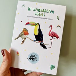 10 lykønskningskort fugle med kuvert