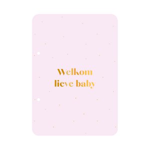 Aufbewahrungspaket Welcome Dear Baby - Flieder (3 Stück)