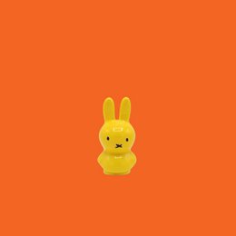 Mini Miffy, GIALLO