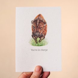 Cute 'You're in charge' Bison Greeting Card