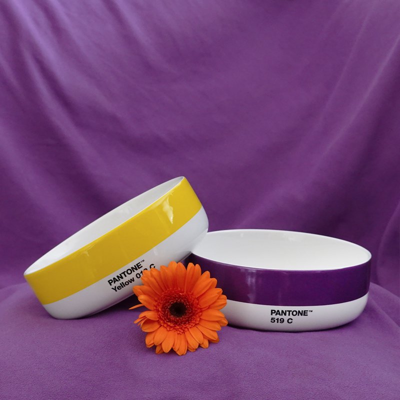 PANTONE BOWL