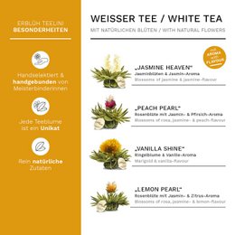 Creano ErblühTeelini cadeauset theeglas 8 theebloemen witte thee