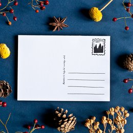 Adventskalender Postkarte Katzen A6
