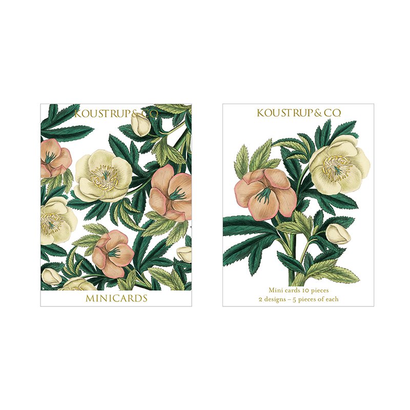 Minicards christmas - Helleborus