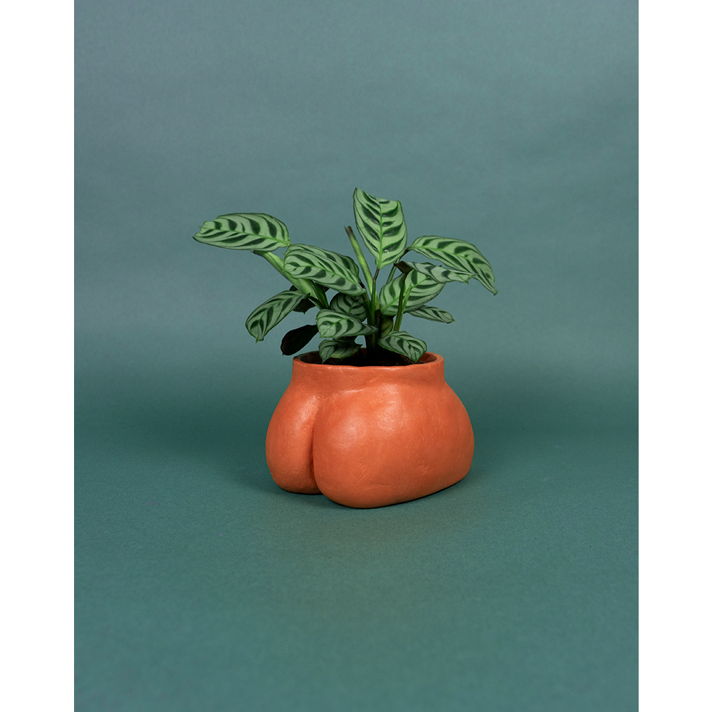 Petit Fessier Terracotta